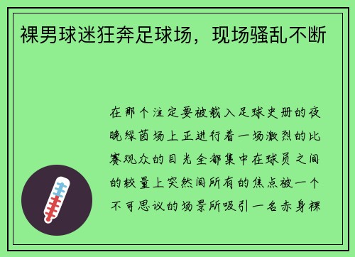 裸男球迷狂奔足球场，现场骚乱不断